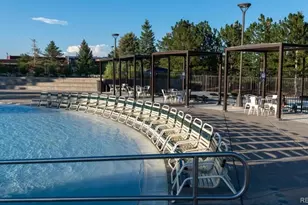 16841 Askins Loop, Parker, CO 80134 - Photo 47