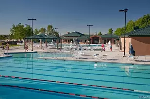 16841 Askins Loop, Parker, CO 80134 - Photo 45