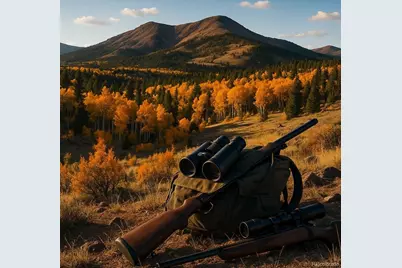 167 Arthurs Court, Fairplay, CO 80440 - Photo 11