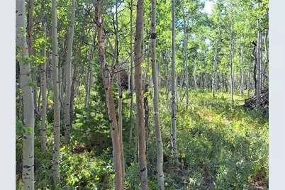 528 Glacier Peak View, Jefferson, CO 80456 - Photo 39