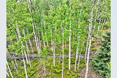 528 Glacier Peak View, Jefferson, CO 80456 - Photo 23