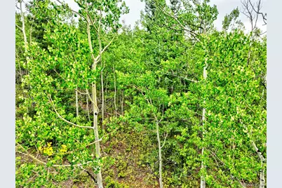 528 Glacier Peak View, Jefferson, CO 80456 - Photo 9