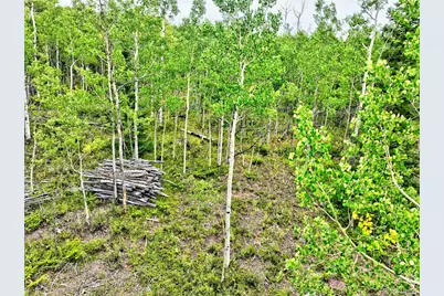 528 Glacier Peak View, Jefferson, CO 80456 - Photo 25