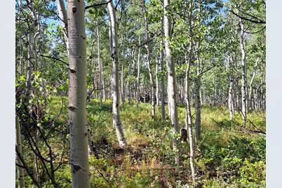 528 Glacier Peak View, Jefferson, CO 80456 - Photo 37