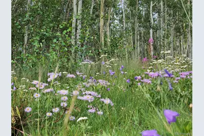 528 Glacier Peak View, Jefferson, CO 80456 - Photo 3