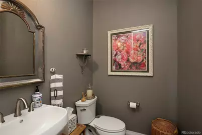 1108 Starglow Place, Highlands Ranch, CO 80126 - Photo 19