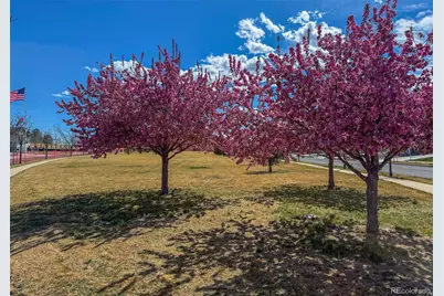 3807 Emerald Shore Circle, Loveland, CO 80538 - Photo 33