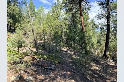 12907 S Cindy Avenue, Pine, CO 80470 - Photo 15