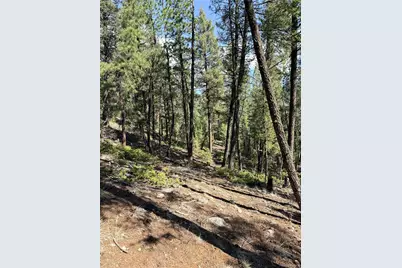 12907 S Cindy Avenue, Pine, CO 80470 - Photo 7