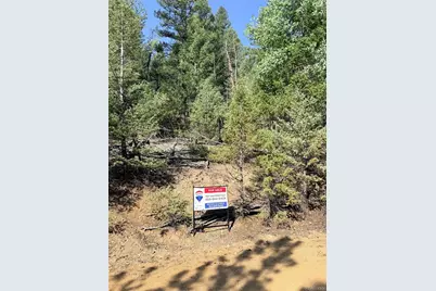 12907 S Cindy Avenue, Pine, CO 80470 - Photo 3