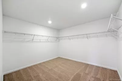 5389 Brangus Drive, Windsor, CO 80528 - Photo 15