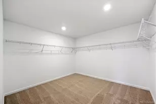 5389 Brangus Dr, Windsor, CO 80528 - Photo 15