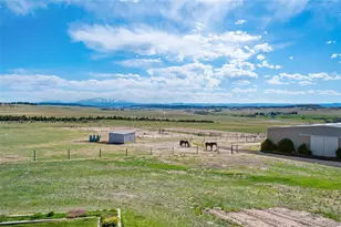 10547 Gillian Ave, Franktown, CO 80116 - Photo 41