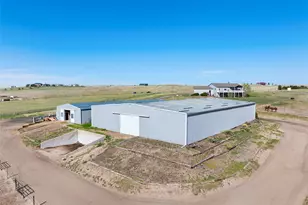 10547 Gillian Ave, Franktown, CO 80116 - Photo 43