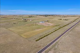 10547 Gillian Ave, Franktown, CO 80116 - Photo 49