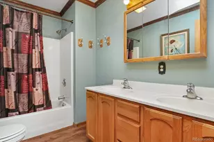 172 Larissa Ln, Buena Vista, CO 81211 - Photo 15