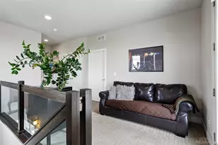 5548 Valentia Ct, Denver, CO 80238 - Photo 21