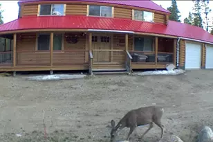 550 Cedar Dr, Leadville, CO 80461 - Photo 1