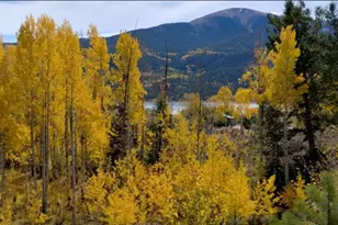 550 Cedar Dr, Leadville, CO 80461 - Photo 17