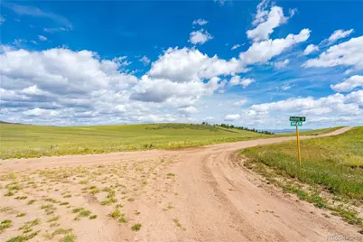 635 Hereford Drive, Hartsel, CO 80449 - Photo 3