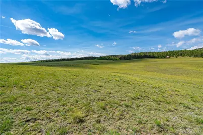 635 Hereford Drive, Hartsel, CO 80449 - Photo 11