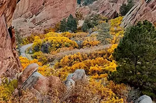 6835 Surrey Trail, Littleton, CO 80125 - Photo 45