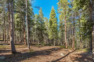 726 Mountain Meadows Dr, Black Hawk, CO 80422 - Photo 39