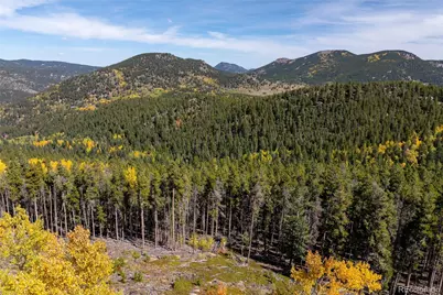 003 Seldom Seen Road, Golden, CO 80403 - Photo 23