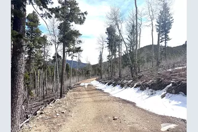003 Seldom Seen Road, Golden, CO 80403 - Photo 9