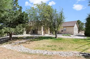 47098 Frasier Fir Circle, Parker, CO 80138 - Photo 3