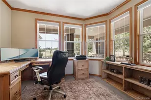 47098 Frasier Fir Circle, Parker, CO 80138 - Photo 13