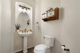 47098 Frasier Fir Circle, Parker, CO 80138 - Photo 21