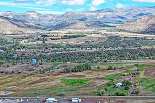 15510 59 1/2 Rd, Collbran, CO 81624 - Photo 23