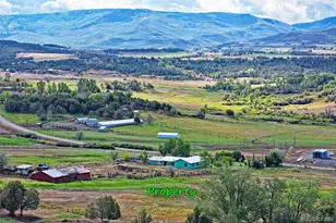 15510 59 1/2 Rd, Collbran, CO 81624 - Photo 17