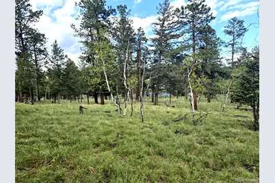 1845 Burland Drive, Bailey, CO 80421 - Photo 15