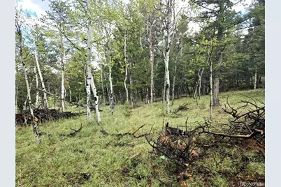 1845 Burland Drive, Bailey, CO 80421 - Photo 3