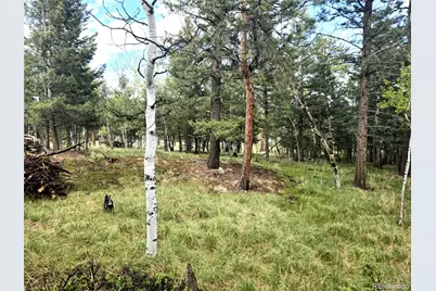 1845 Burland Drive, Bailey, CO 80421 - Photo 9