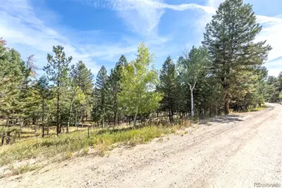 1845 Burland Drive, Bailey, CO 80421 - Photo 7
