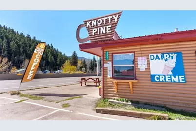 1845 Burland Drive, Bailey, CO 80421 - Photo 27