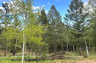 1845 Burland Dr, Bailey, CO 80421 - Photo 1