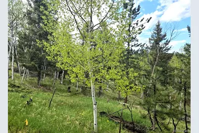 1845 Burland Drive, Bailey, CO 80421 - Photo 13