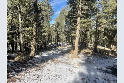 1873 N Mountain Estates Road, Florissant, CO 80816 - Photo 5