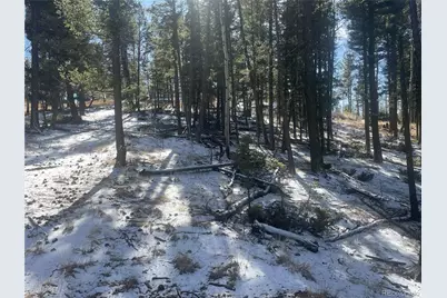 1873 N Mountain Estates Road, Florissant, CO 80816 - Photo 17