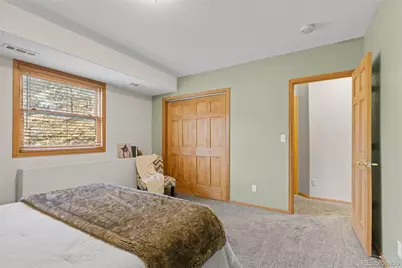 745 N Pine Drive, Bailey, CO 80421 - Photo 27