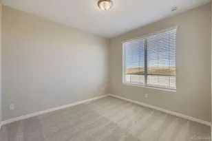 8305 Mount Kataka St, Littleton, CO 80125 - Photo 17