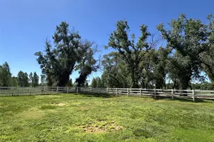 4725 County Road 107, Alamosa, CO 81101 - Photo 5