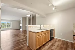 14156 Sun Blaze Loop, Broomfield, CO 80023 - Photo 9