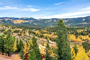 168 Wise Rd, Bailey, CO 80421 - Photo 21