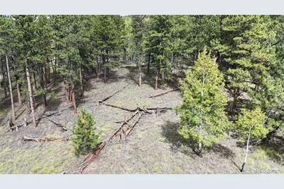 2265 Vagabond Creek Drive, Lake George, CO 80827 - Photo 5