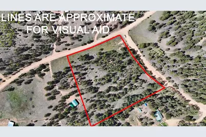 2265 Vagabond Creek Drive, Lake George, CO 80827 - Photo 19